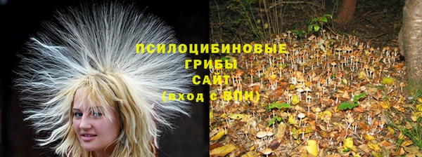 мдпв Усинск