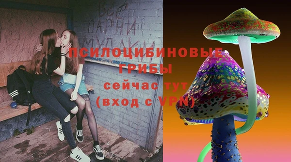 Альфа ПВП Тында