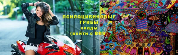 Альфа ПВП Тында
